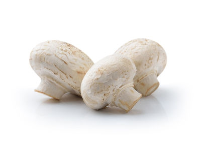 Close-up of bread against white background