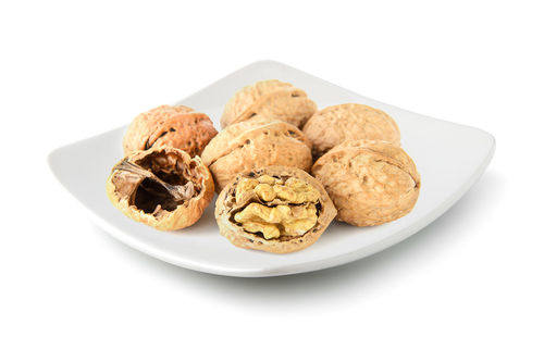 Close-up of cookies in plate against white background