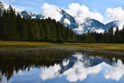 Wildmoos see,  wildmoos, tirol, austria, germany 