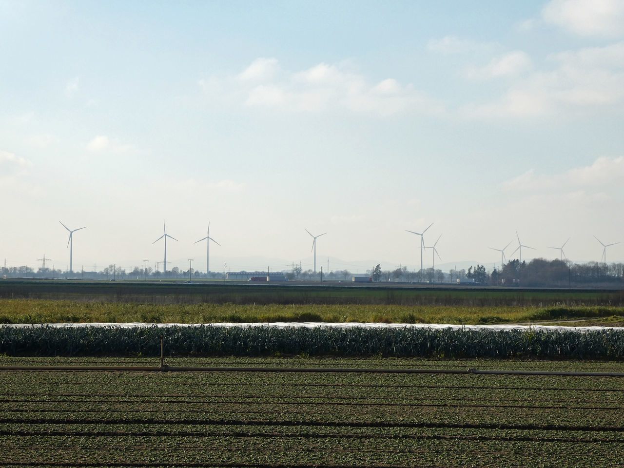 VIEW OF WIND TURBINES ON LAND