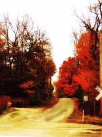 Road amidst trees against sky