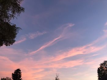 Low angle view of silhouette trees against sky during sunset