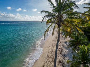 sea