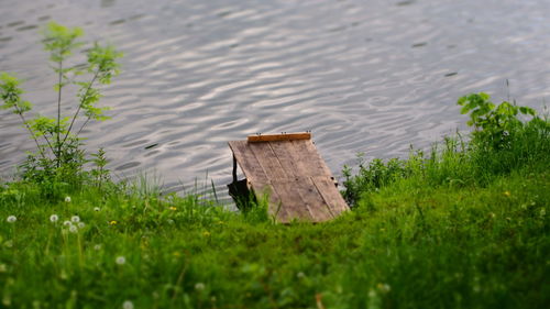 High angle view of grass by lake