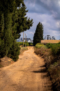 Dirt road amidst trees against sky