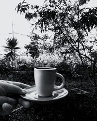 Coffee cup with drink against trees and plants
