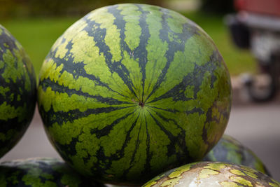 Watermelon in the market. big sweet green watermelon. watermelons in the market. healthy eating 