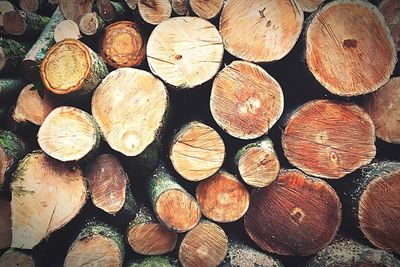 Stack of logs