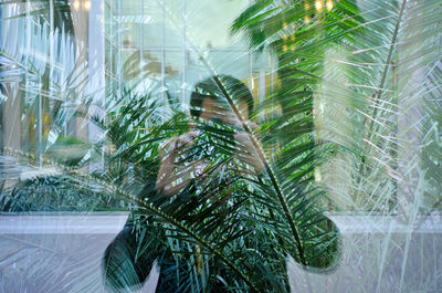 Multiple exposure of man photographing amidst palm trees