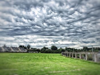 Scenic view of field against sky