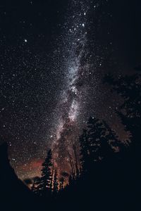 Low angle view of silhouette trees against sky at night