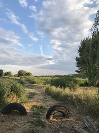 Scenic view of field against sky