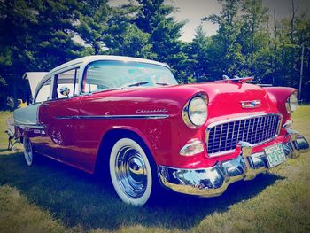 Red vintage car on tree