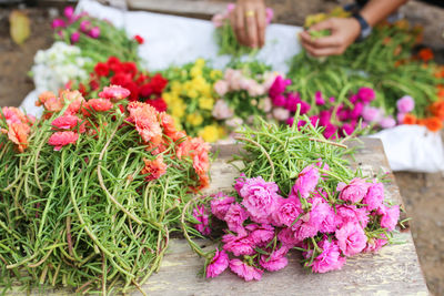 Close-up of pink flowering plants at market stall