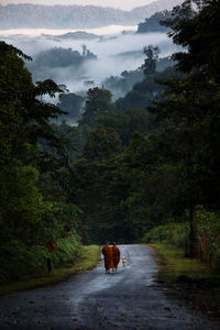 Rear view of monks walking on road against trees