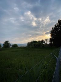 Scenic view of field against sky during sunset