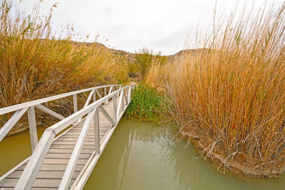 Footbridge across a wetland pond in big bend national park in texas