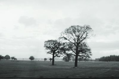 Bare trees on grassy field against sky