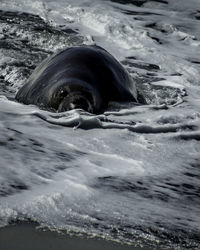 Close-up of water flowing in sea