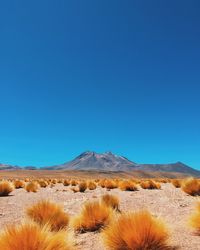 Scenic view of mountains against clear blue sky