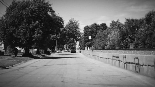 Empty road along trees