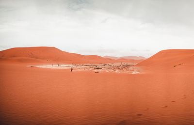 Scenic view of desert during sunset