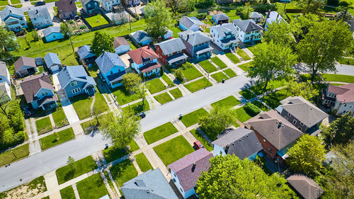 High angle view of trees