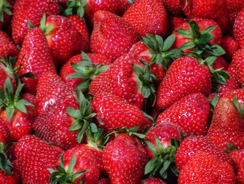 Simply enjoy life and the great pleasures that come with it. taste the juicy and sweet strawberries.