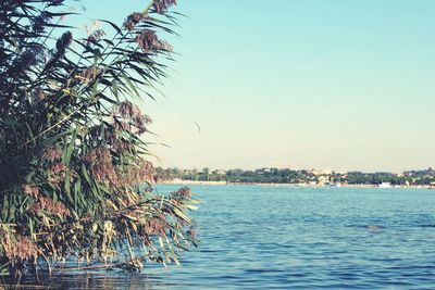 Scenic view of sea against clear sky