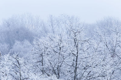 Scenic view of snow covered land