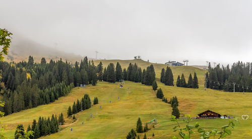 Panoramic view of field against clear sky