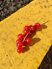 Close-up of red cherries