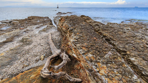 Driftwood on beach by sea against sky