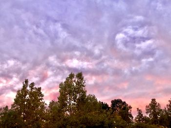 Low angle view of silhouette trees against dramatic sky