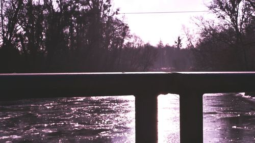 Reflection of trees in water