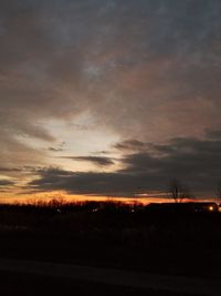 Silhouette trees on field against sky at sunset