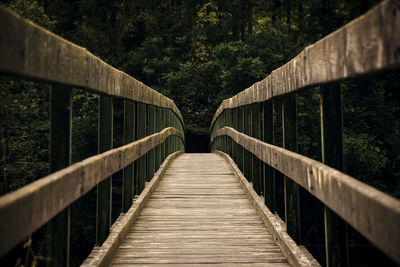 Footbridge along trees in forest