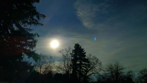 Low angle view of trees against sky