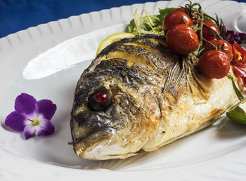 Close-up of grilled dorado with baked cherry tomatoes served on table