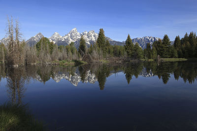 Reflection of trees in lake against blue sky