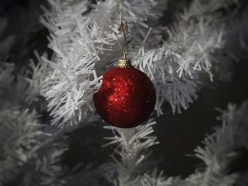 Close-up of christmas decoration