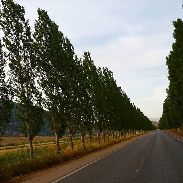 the way forward, road, transportation, tree, diminishing perspective, road marking, country road, vanishing point, sky, empty road, tranquility, empty, tranquil scene, asphalt, long, nature, grass, street, landscape, growth