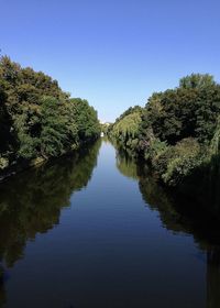 Reflection of trees in lake against clear blue sky