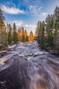 Scenic view of waterfall amidst trees in forest against sky