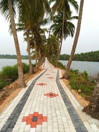 Narrow walkway along trees