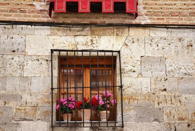 Window with flowers