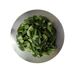 Directly above shot of green leaves on white background