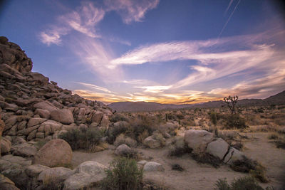 Scenic view of desert against sky