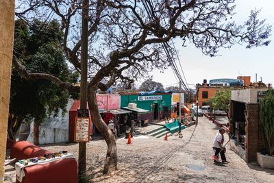 People on road by trees in city against sky