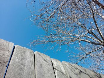 Low angle view of bare tree against clear blue sky